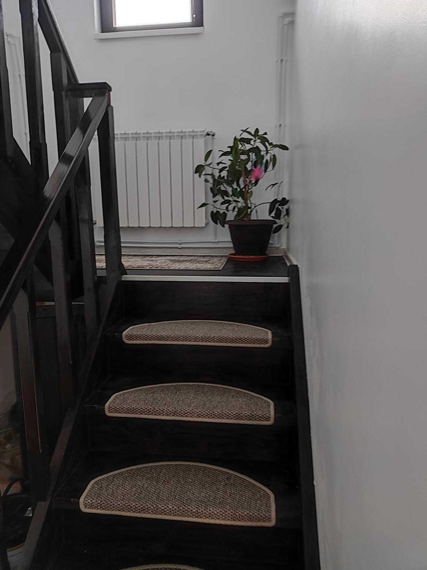 Vila Raisa Neagra Sarului Exterior photo